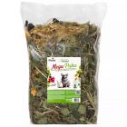 Alegia Natural Mega Paka dla Szynszyli 1000g