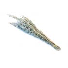 Hipcio Bukiet Owsa 50g